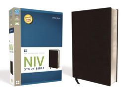 NIV Study Bible  9780310437574 Front Cover