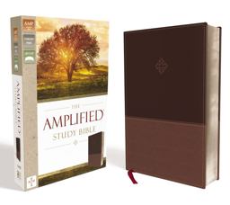 Amplified Study Bible [Brown]  9780310440802 Front Cover