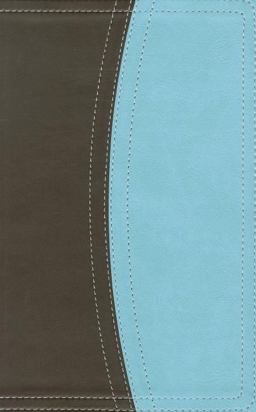 King James Version Reference Bible