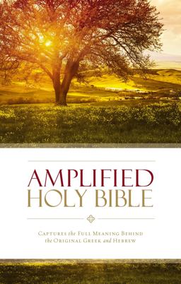 Amplified Holy Bible Captures the Full Meaning Behind the Original Greek and Hebrew  9780310443902 Front Cover
