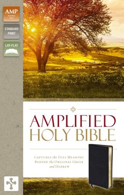 Amplified Holy Bible Captures the Full Meaning Behind the Original Greek and Hebrew  9780310443926 Front Cover