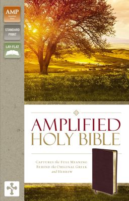 Amplified Holy Bible Captures the Full Meaning Behind the Original Greek and Hebrew [Burgundy]  9780310443940 Front Cover