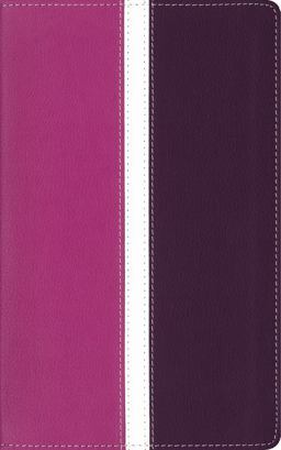 Amplified Holy Bible