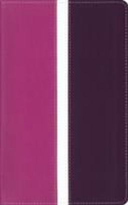 Amplified, Holy Bible