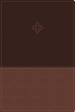 Amplified Study Bible, Indexed [Brown]