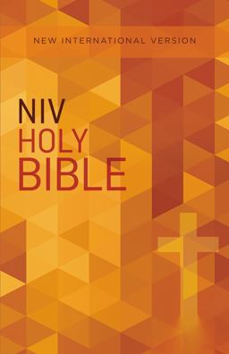 NIV Value Outreach Bible [Orange]