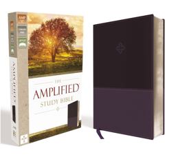 Amplified Study Bible [Purple]