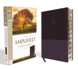 Amplified Study Bible, Indexed [Purple]  9780310446538 Front Cover