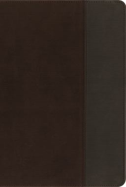 NIV, Quest Study Bible, Indexed