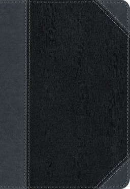 NIV Thinline Bible Compact [Black/Grey]