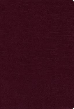 NIV Thinline Bible Indexed Red Letter Edition [Large Print, Burgundy]