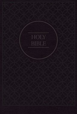 NIV Value Thinline Bible [Large Print, Grey/Black]