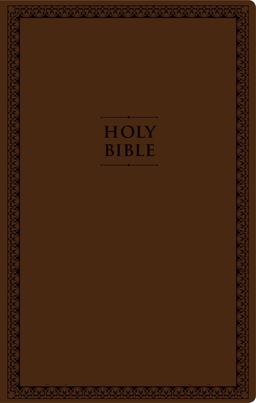 NIV Value Thinline Bible [Large Print, Brown]