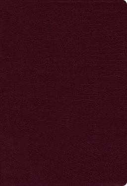 NIV Thinline Bible Indexed Red Letter Edition [Giant Print, Burgundy]