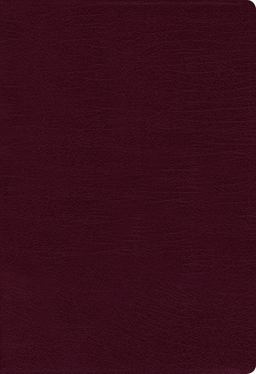 NIV Thinline Bible Red Letter Edition [Burgundy]