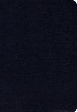 NIV Thinline Bible Red Letter Edition [Navy]