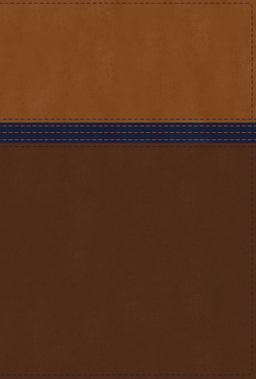 NIV Study Bible, Fully Revised Edition, Personal Size, Red Letter, Thumb Indexed, Comfort Print [Brown/Blue]