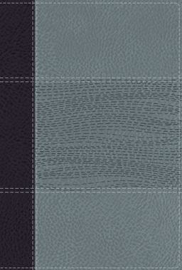 NIV Study Bible, Fully Revised Edition, Personal Size, Red Letter, Comfort Print [Navy/Blue]