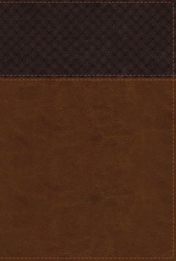 NIV Study Bible, Fully Revised Edition, Large Print, Red Letter, Thumb Indexed, Comfort Print [Brown]