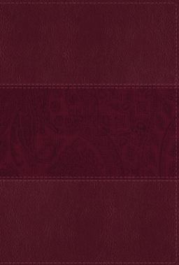 NIV Study Bible, Fully Revised Edition, Large Print, Red Letter, Thumb Indexed, Comfort Print [Burgundy]