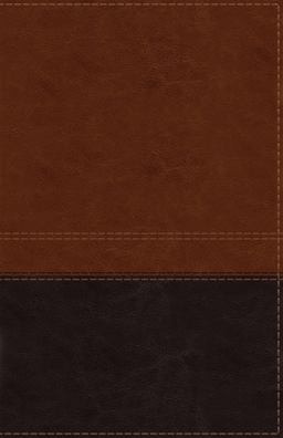 NIV Reference Bible Indexed Red Letter Edition