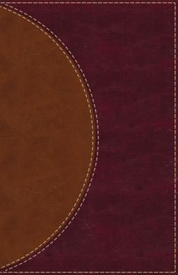 Amplified Reading Bible [Brown]