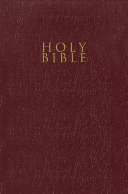 NIV Gift and Award Bible Red Letter Edition [Burgundy]