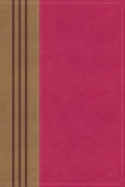 Niv Biblical Theology Study Bible [Pink]