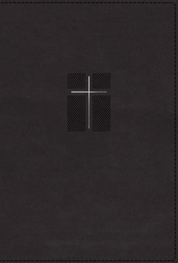 NIV Quest Study Bible [Indexed, Black]