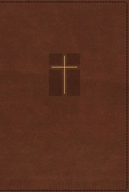 NIV Quest Study Bible [Indexed, Brown]