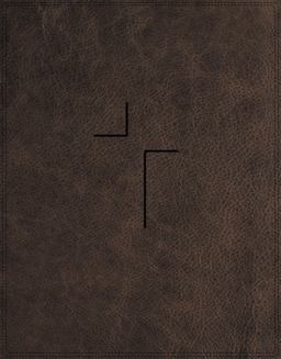 The Jesus Bible Indexed NIV Edition [Brown]