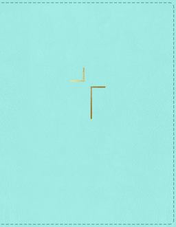 The Jesus Bible Indexed NIV Edition [Blue]