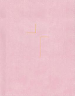 The Jesus Bible Indexed NIV Edition [Pink]