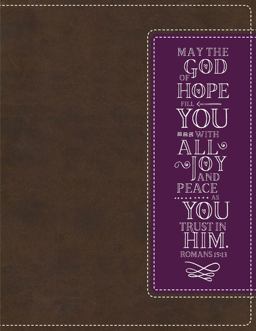 NIV Beautiful Word Coloring Bible and 8-Pencil Gift Set [Brown]