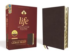 NIV Life Application Study Bible Thumb Indexed Red Letter Edition [Third Edition, Burgundy, Large Print]
