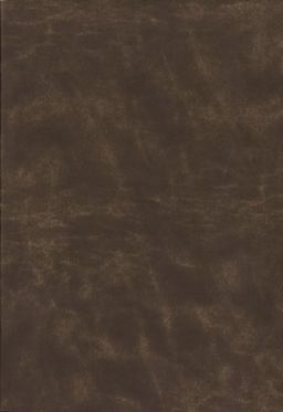 NIV Life Application Study Thumb Indexed Bible Red Letter Edition [Third Edition, Brown, Large Print]