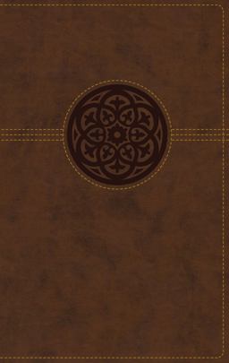 NRSV Thinline Reference Bible [Large Print, Brown]