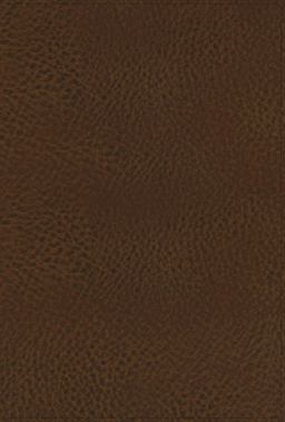 NASB Preacher's Bible [Brown]