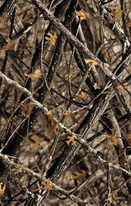 NIV Outdoorsman Bible Red Letter Edition