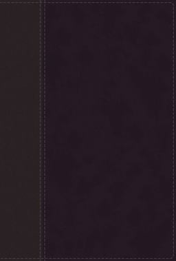 NIV Personal Size Bible Red Letter Edition [Large Print, Black]