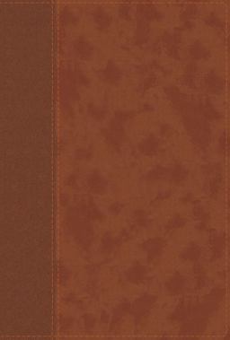NIV Personal Size Bible Red Letter Edition [Large Print, Brown]