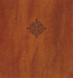 NRSW Holy Bible XL Edition with Apocrypha [Brown]