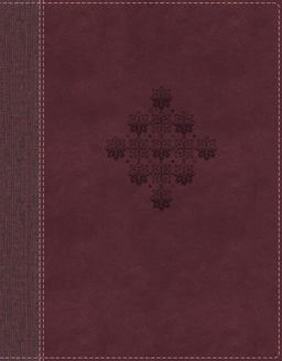 NRSV Journal the Word Bible [Burgundy]