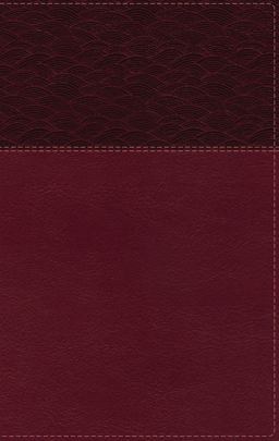 NASB Thinline Bible, Large Print, Red Letter, 2020 Text, Comfort Print [Burgundy]