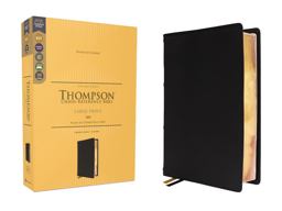 KJV, Thompson Chain-Reference Bible, Large Print, Art Gilded Edges