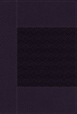 NIV Wide Margin Bible, Red Letter, Comfort Print [Navy]