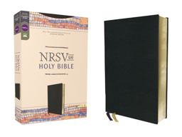 NRSVue Holy Bible Comfort Print [Black]  9780310461432 Front Cover