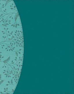 NIV Beautiful Word Bible Updated Edition, Peel/Stick Bible Tabs, Red Letter, Comfort Print [Teal]