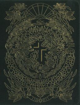 The Jesus Bible Artist Edition NIV Limited Edition, Thumb Indexed, Comfort Print [Green]