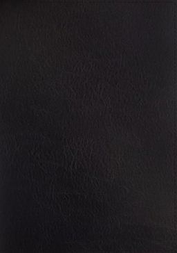 ESV Thompson Chain-Reference Bible, Red Letter, Thumb Indexed [Black]